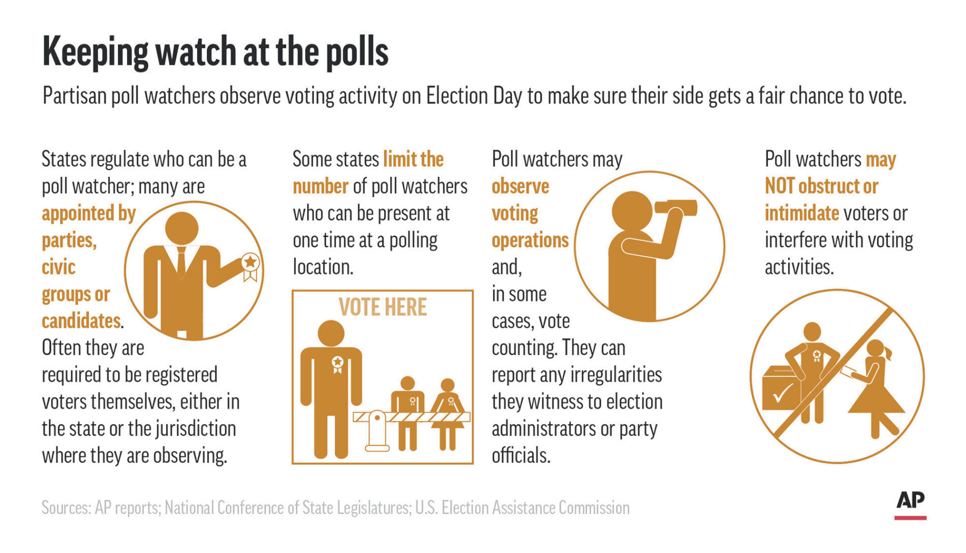 Explaining Election 2020-Poll Watchers